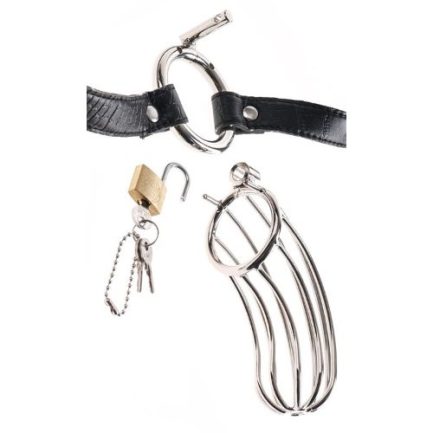 PD3668-23 b Gabbietta castità